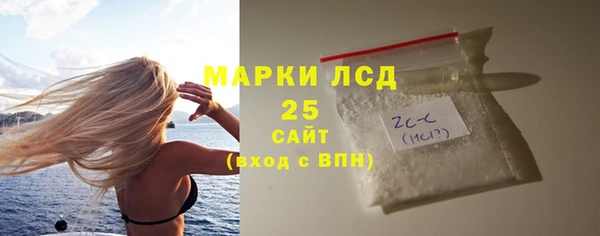 шишки Баксан