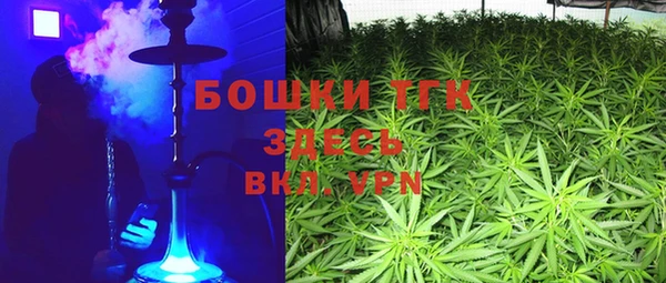 шишки Баксан
