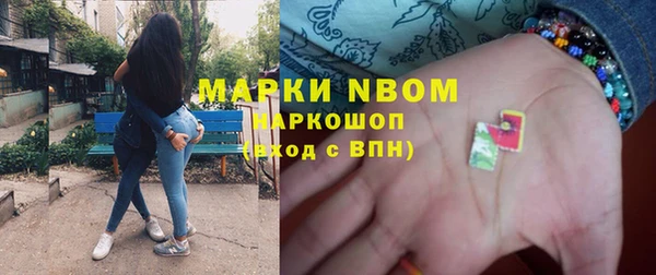 шишки Баксан